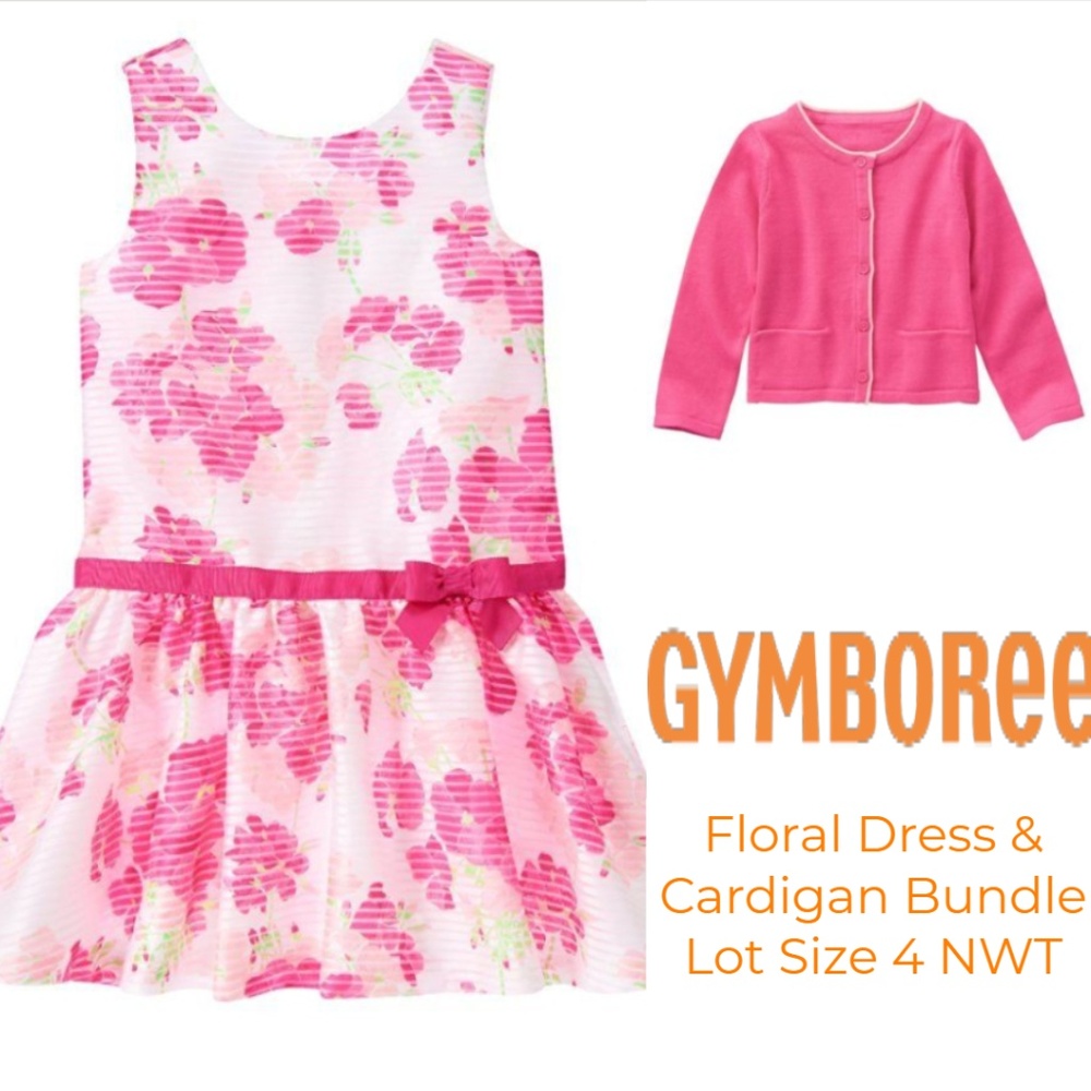 Gymboree Dress Cardigan Pink Floral‎ Organza Clothes Lot size 4 NWT
